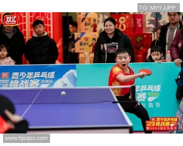 对话杨磊：回顾乒乓球生涯的辉煌与挑战之路