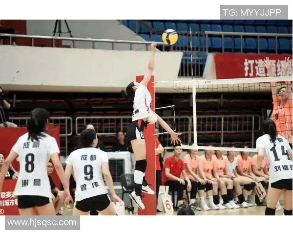 成都排球队个人能力分析与发展策略探讨